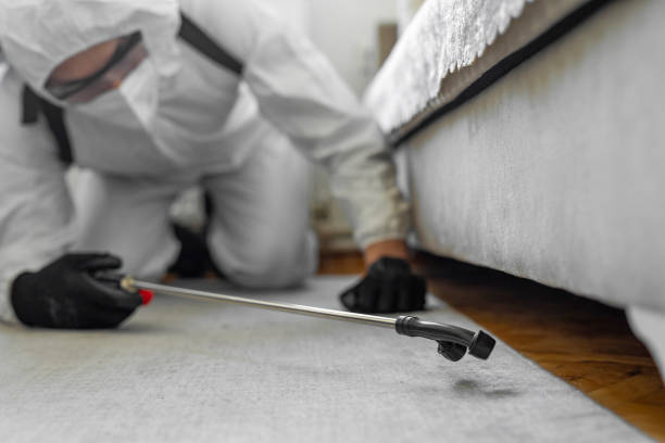 Professional Bed Bug Control technician working in Muncie, IN