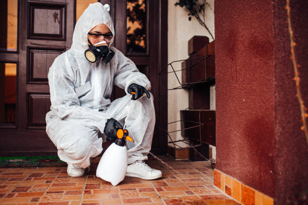 Reliable Bed Bug Control contractor in Muncie, IN by Nex Pest Control